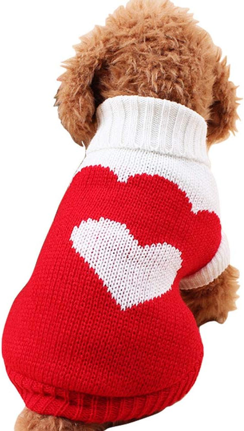 Dog Clothes