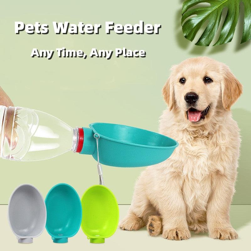 Dog Accessories
