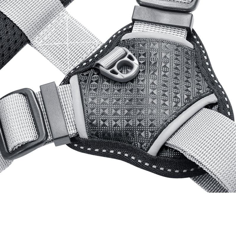 Stylish Polyester Dog Leash Collar - Perfect For Small Dogs!