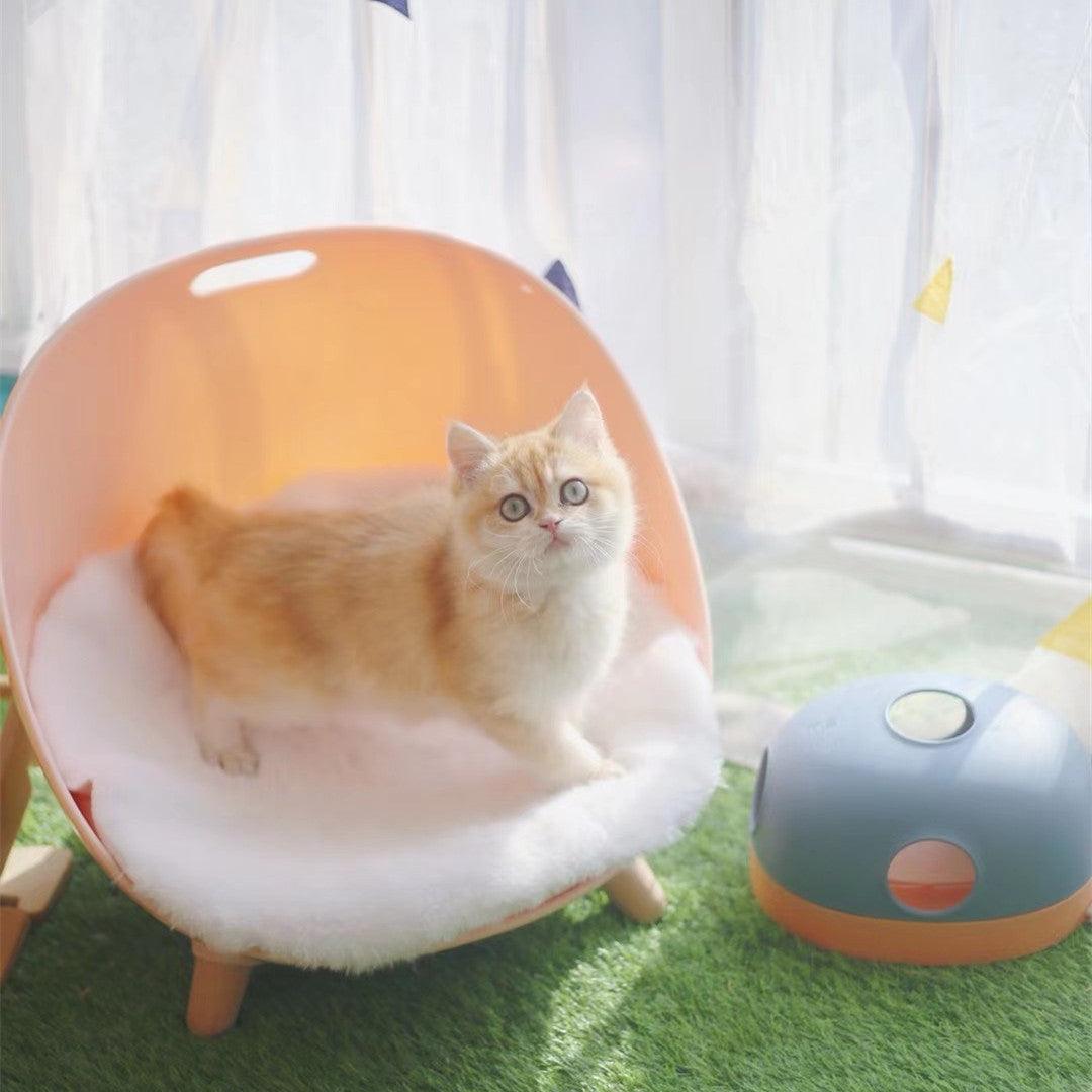 Whisker Spin Cat Toy