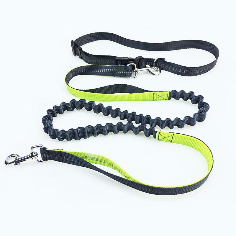 Ultimate Freedom Dog Leash: The Perfect Companion For Active Dogs