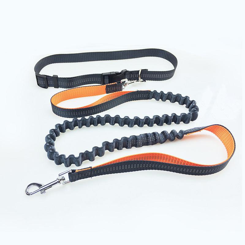 Ultimate Freedom Dog Leash: The Perfect Companion For Active Dogs