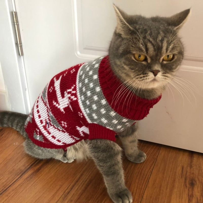 Cute Cat Sweater Costume Winter Warm
