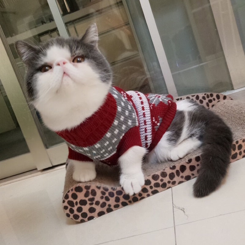 Cute Cat Sweater Costume Winter Warm