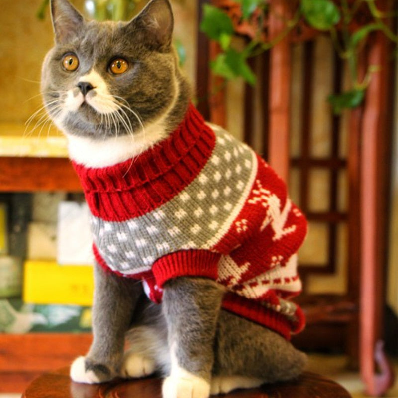 Cute Cat Sweater Costume Winter Warm