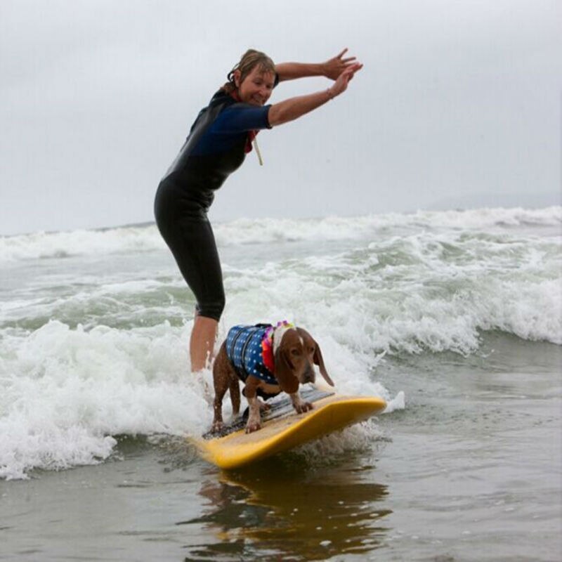 Pet Dog Life Jacket Safety Clothes