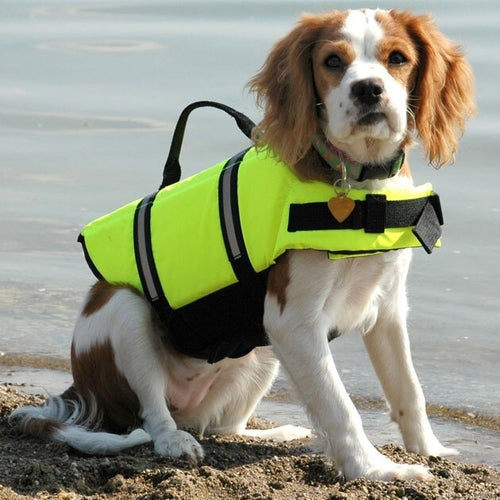 Pet Dog Life Jacket Safety Clothes