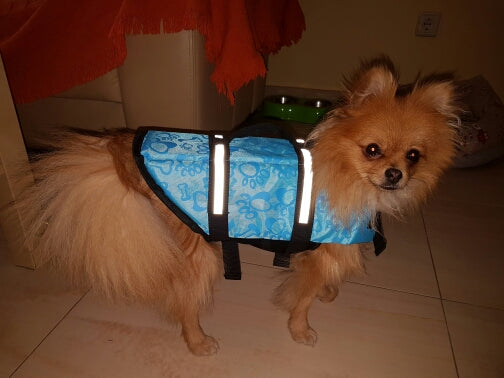 Pet Dog Life Jacket Safety Clothes