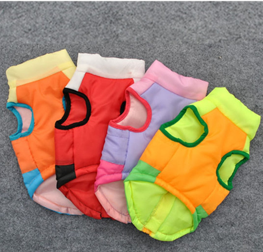 Winter Dog Clothes For Small Dog Coat