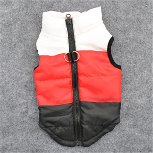 Winter Dog Clothes For Small Dog Coat
