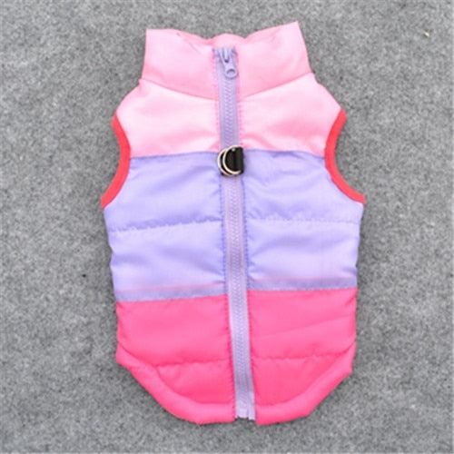 Winter Dog Clothes For Small Dog Coat