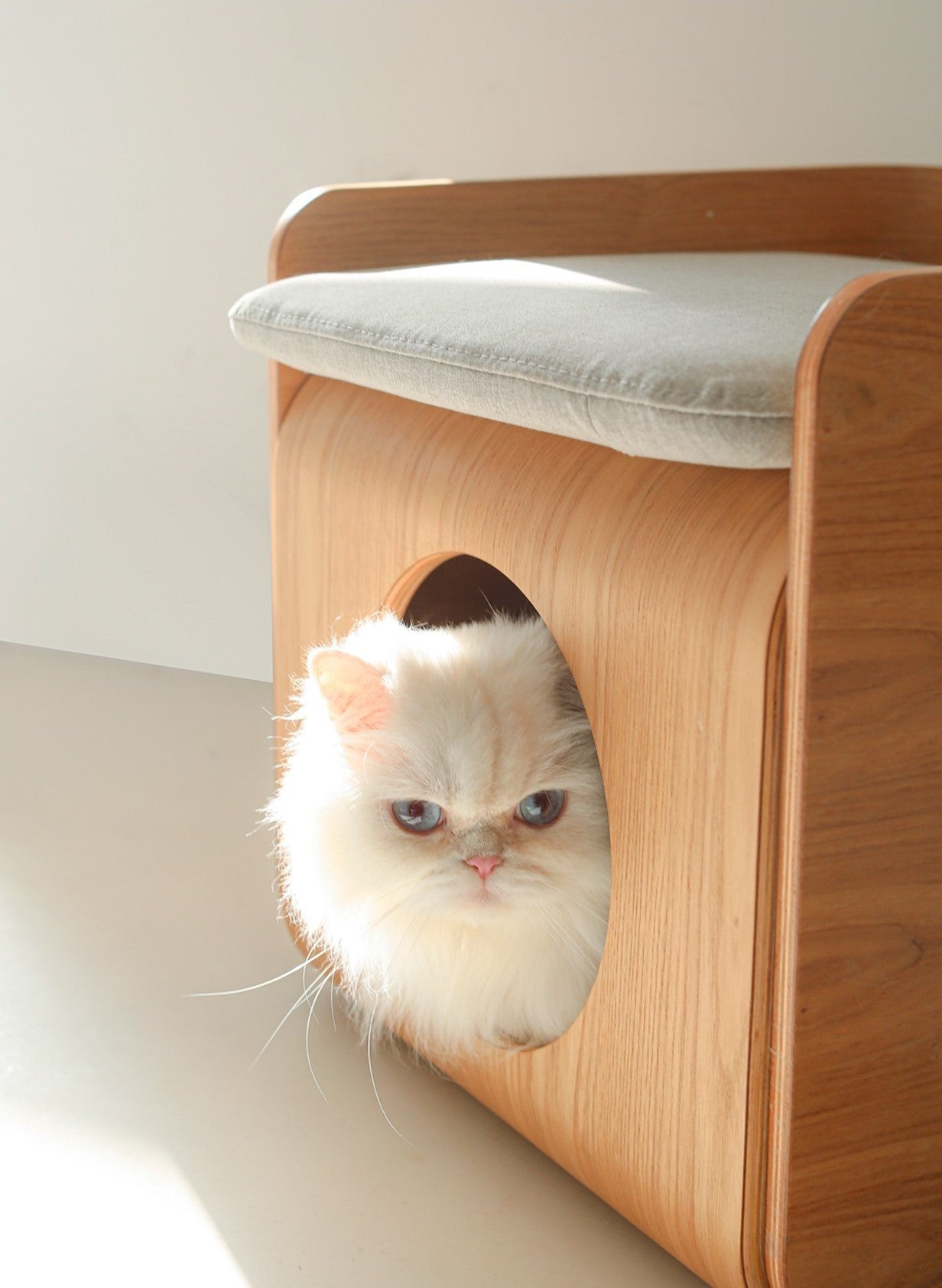 Natural Wood Cat Bed House